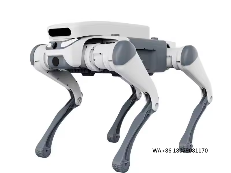 Juguete educativo con control  - Educational Toys reseña y precio