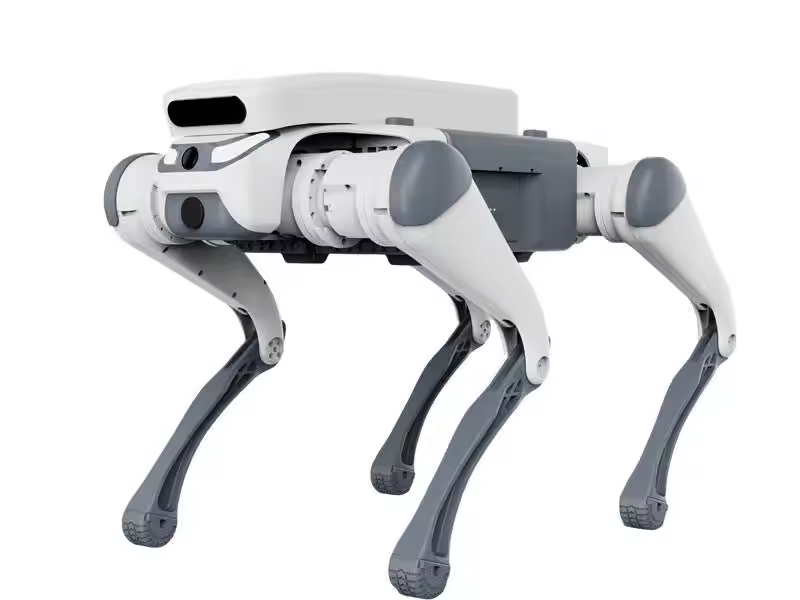 Juguete educativo con control  - Educational Toys reseña y precio