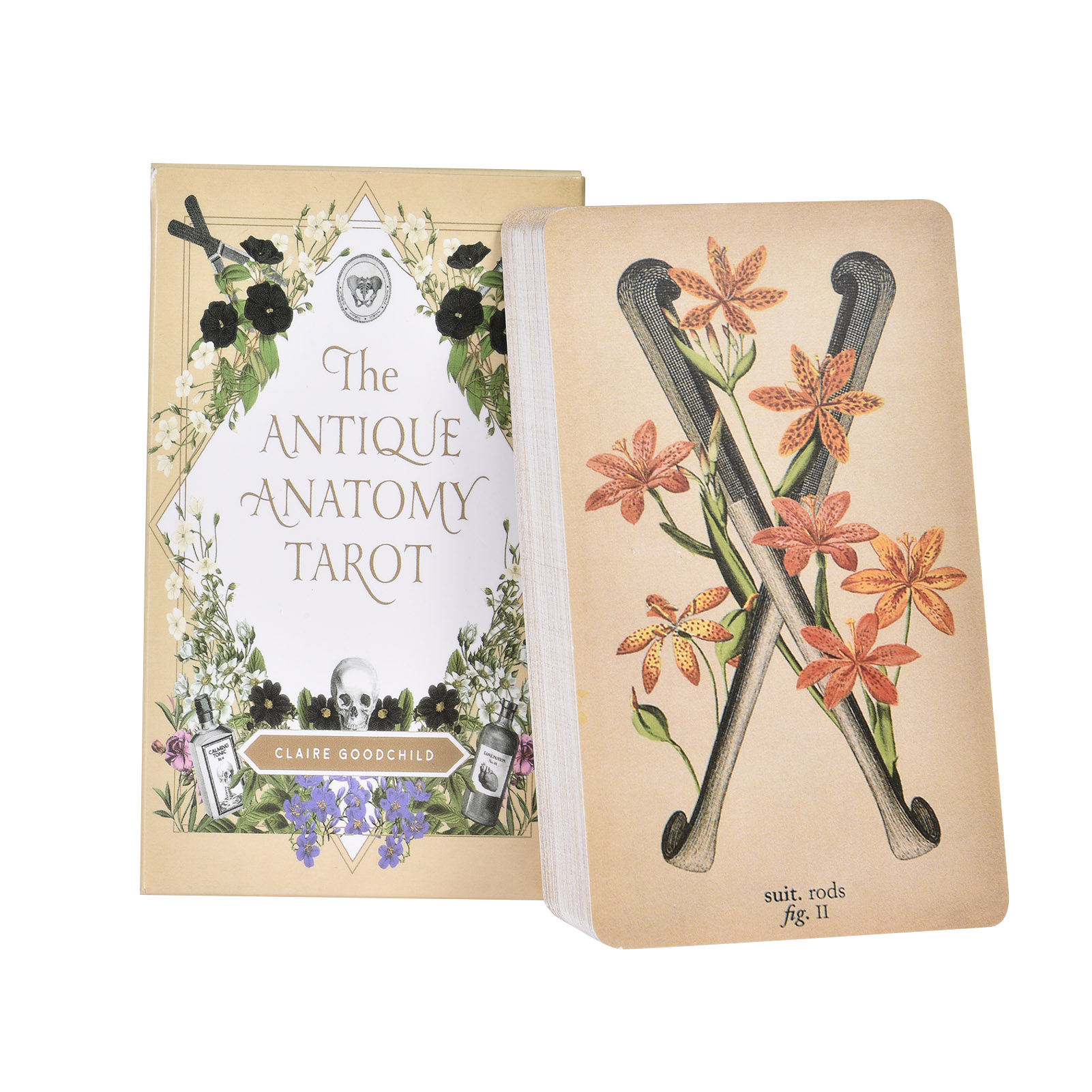 Las Cartas del Tarot de Anatom - Tarot Cards Deck With Guidebook reseña y precio