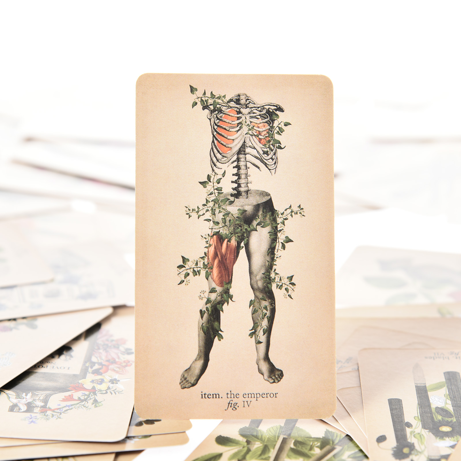 Las Cartas del Tarot de Anatom - Tarot Cards Deck With Guidebook reseña y precio